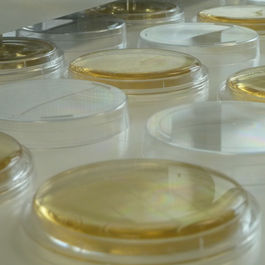  Meios de Cultura para a Detecção e Enumeração Microbiana